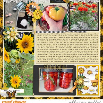 2024 32 week garden notes 01