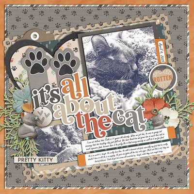 All About the Cat
