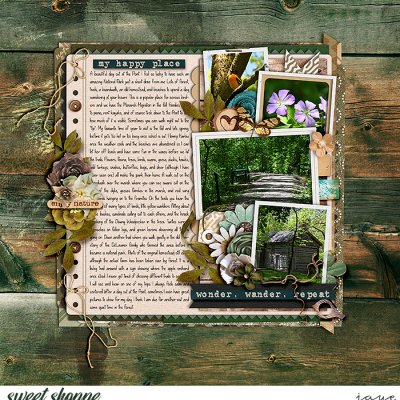 One Template, 16 Ways: Cindy Schneider