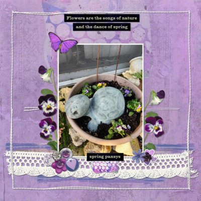 Week 4 - Provence Challenge