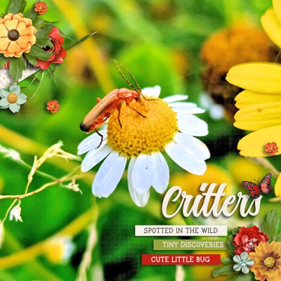 Critters