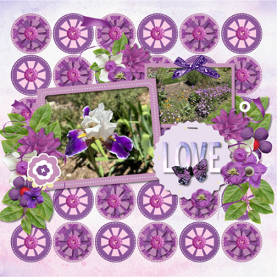Provence_week_4