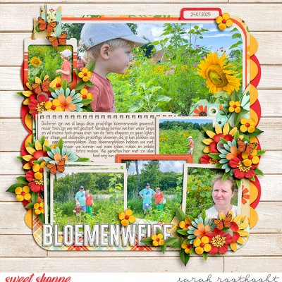 Bloemenweide