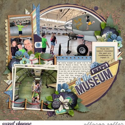 MAPS museum