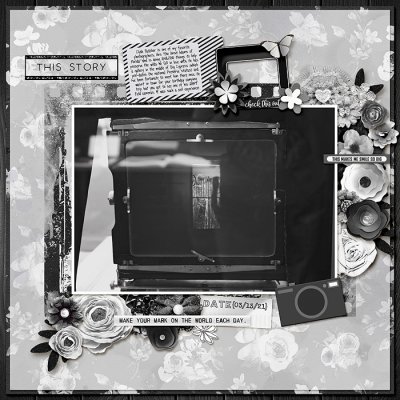 shadowbox 2 - famous artist - Ansel Adams / Clyde Butcher