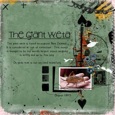 The Giant Weta
