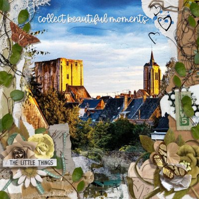 Collect beautiful moments