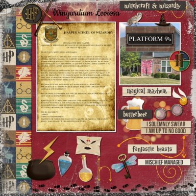 8/5 Option 2 Harry Potter Birthday Party