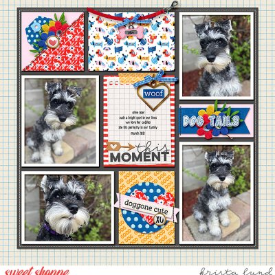 SSD-KL-2021_03-Olive-DogGoneCute