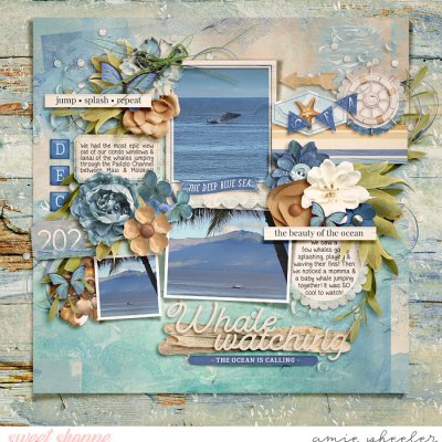 Whale Watching