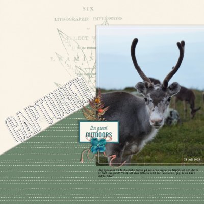 Captured - left