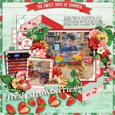 Dehydrating Summer Strawberries