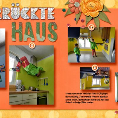 crazy house