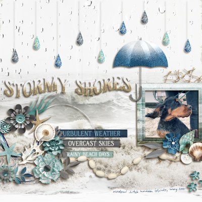 Stormy Shores