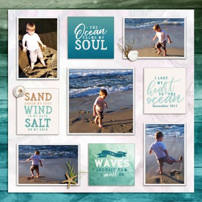 2025 Summer Shadowbox Aug 2 Opt 2