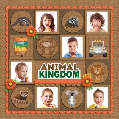 Animal Kingdom