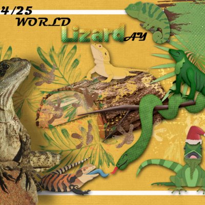 World Lizard Day