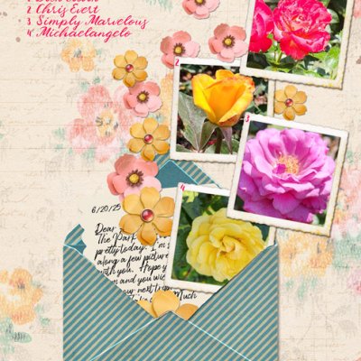 Rose Garden Memories