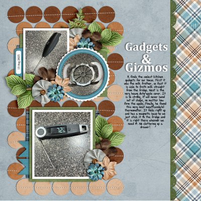 Gadgets & Gizmos