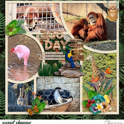 Zoo Day