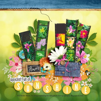 2025 Garden Flowers