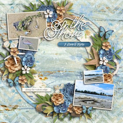 The shore