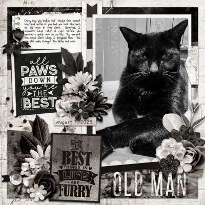 Old Man