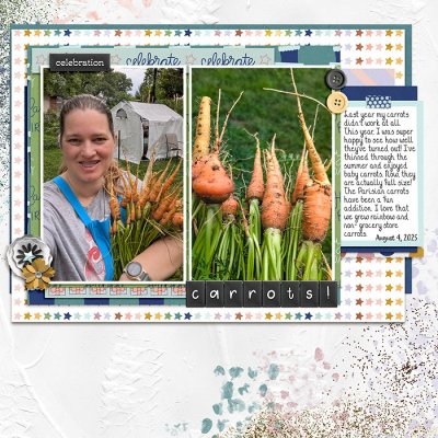 Carrot Success