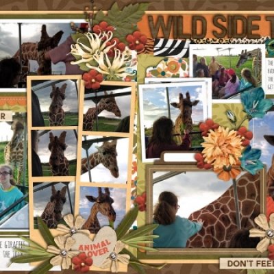 Feeding Giraffes on the Wild Side Tour