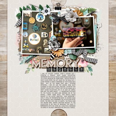 Memory Magnets