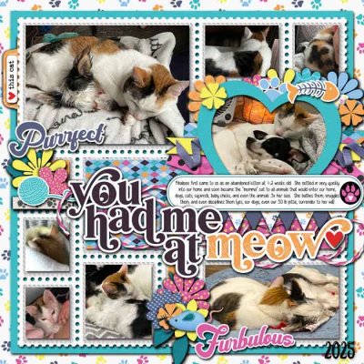 August 20 Khalisee Momma Cat