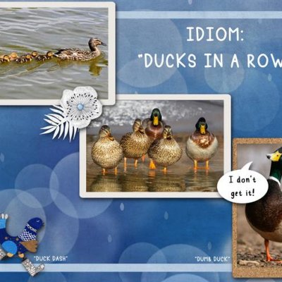 Idiom: "Ducks in a Row"