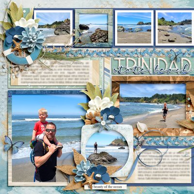 Trinidad State Beach