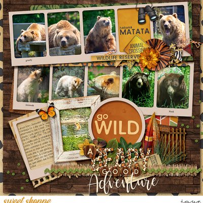 A Beary Good Adventure