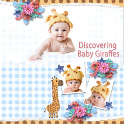 Baby Giraffes