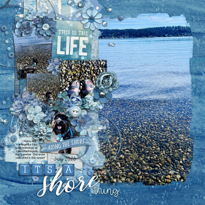It's a Shore Thing