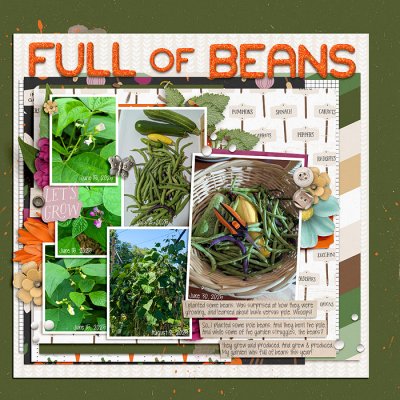 Garden Full of Beans