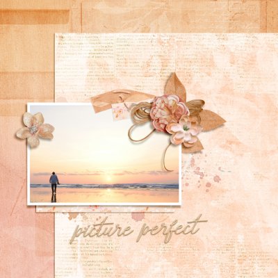 Summer Shadowbox - August 23rd