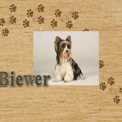 Biewer