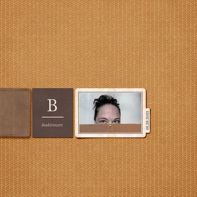 Booktrovert