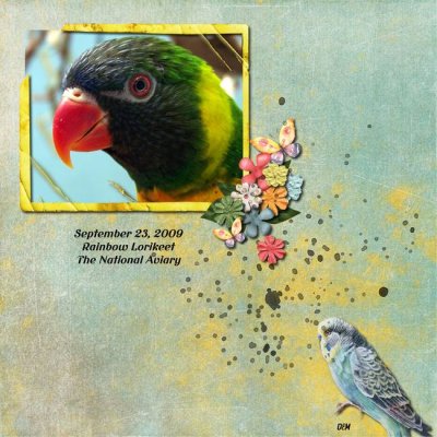 Parrot at Aviary