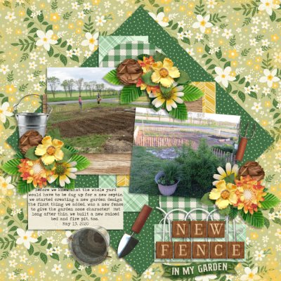 New Fence