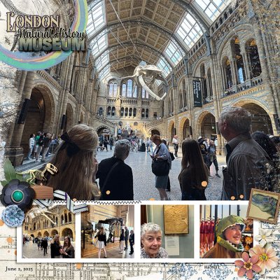 London Natural History Museum