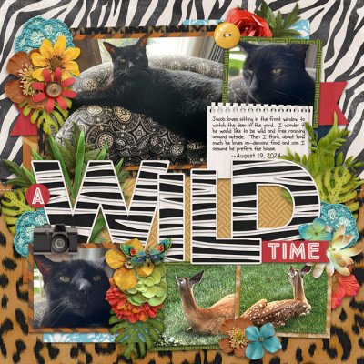 A Wild Time