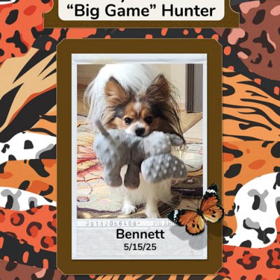 My Little "Big Game" Hunter