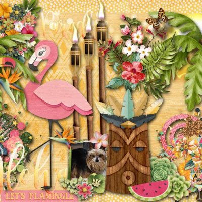 Let's Flamingle