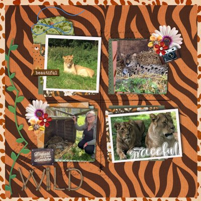 Hoo Zoo Wild Adventure