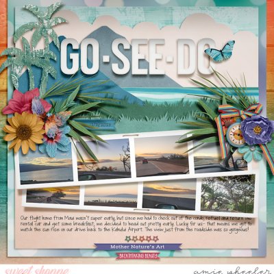 Go See Do