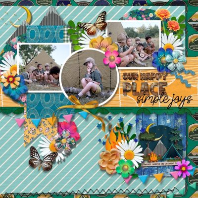 A summer campnic