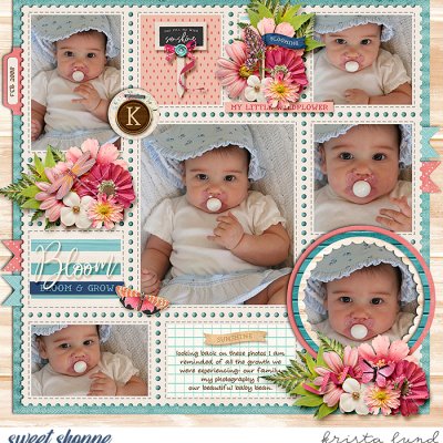 SSD-KL-2008_02-BloomBabyBean